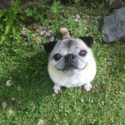 может быть (prod. whyuskywait!)