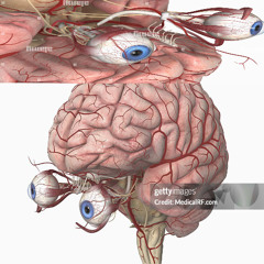 je crois V1 (prod.MusorkA)