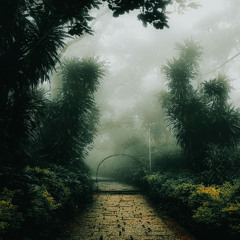 A Secret Path To Everywhere