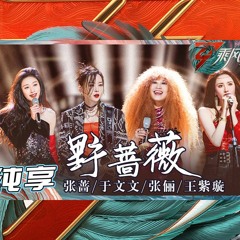 乘风破浪3 | 于文文张蔷张俪王紫璇 - 野蔷薇  [Live]