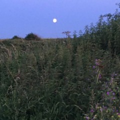 The Moon