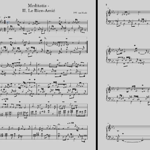 Meditatis II - Op.2 No.2 - Le Bien-Amie tuned at 389hz