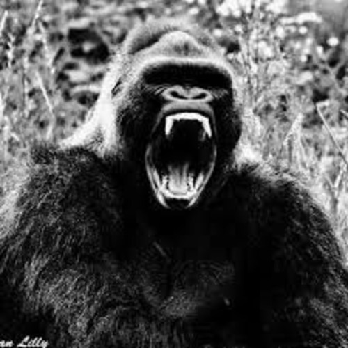 RAMPAGE