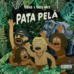 Tripper & Harry Nach - Pata Pelá (Elipnoia rmx?) [WIP]