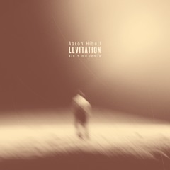 Aaron Hibell - Levitation (kin + me remix)