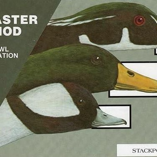 ❤ PDF Read Online ❤ Waterfowl Identification: The LeMaster Method best