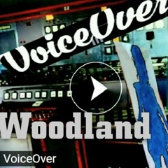Wo͝odlənd