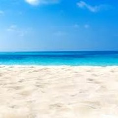 Beach Feb 6 2020 - Will Wallace