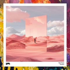 PREMIERE: Tuba Twooz — Five Movements (Original Mix) [murmure]