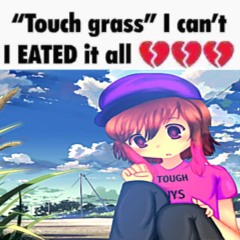 srry for party rocking by lmfao nightcore and badly bassboosted