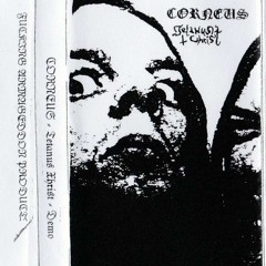 Corneus - Gott der Hosenscheißer.mp3