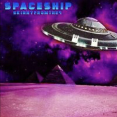 Spaceship(finish)
