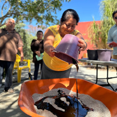 Abiael: Prototipo de palanqueta ganadera