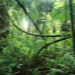 Должен (level)