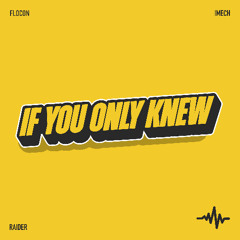 flocon, Raider & iMech - If You Only Knew