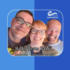 Radio Team BaWü - Sendung ohne Sinn 08.02.2025
