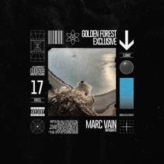 Golden Forest Exclusive 017: Marc Vain - Antigravité