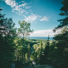 Wild Mid-Spring Feelings