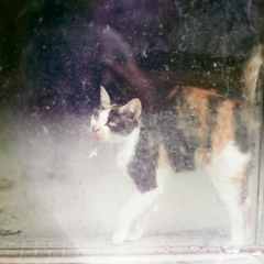 Randy Describes Mondays