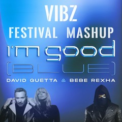 I'm Good (VibZ Festival Mashup)