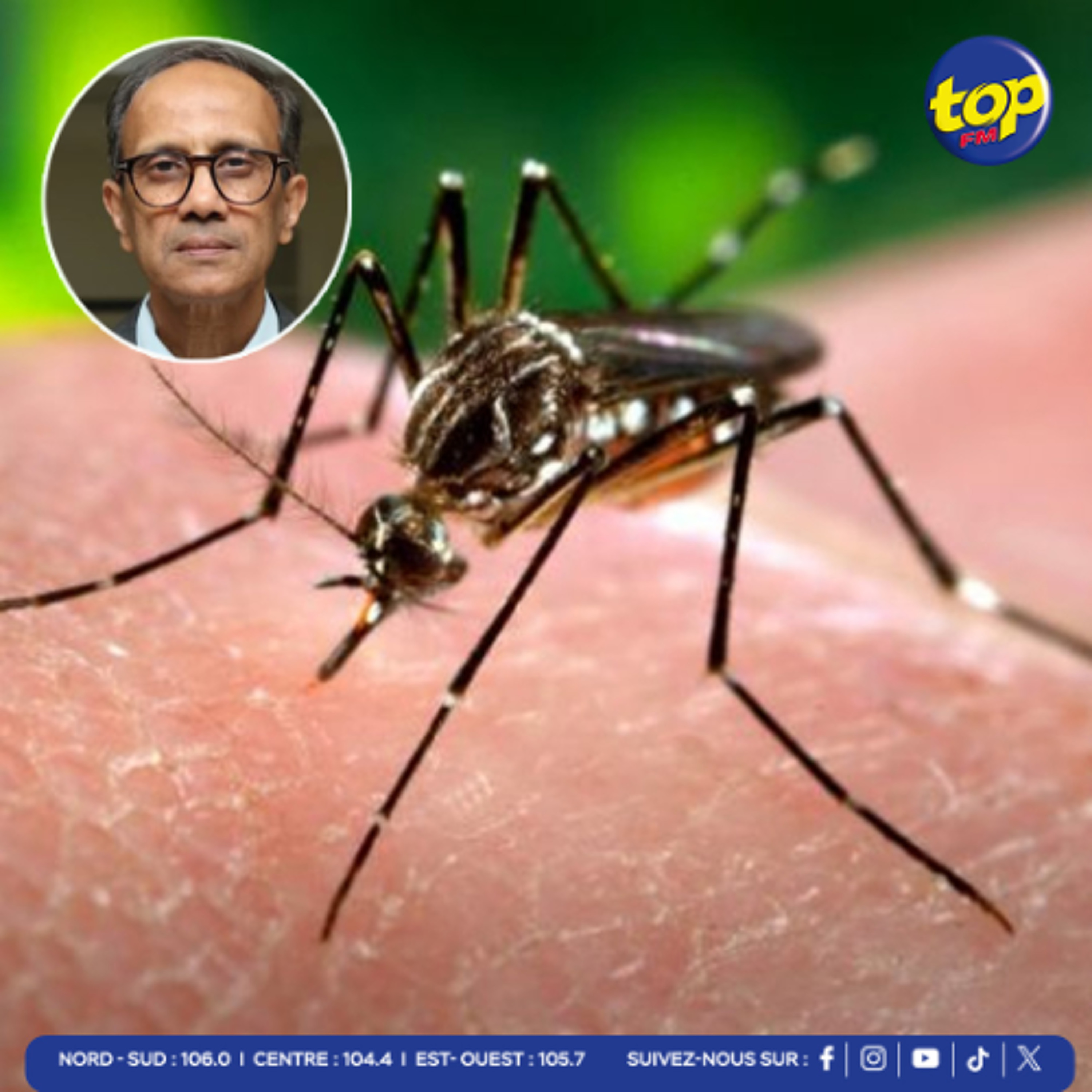 Chikungunya : Cinq cas enregistrés en une semaine