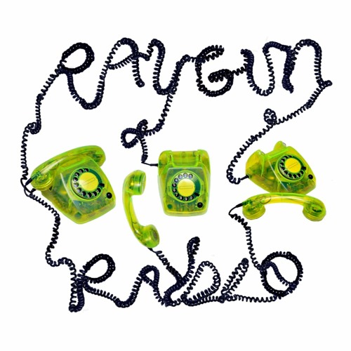 RAYGUN RAYDIO - Block Their Number