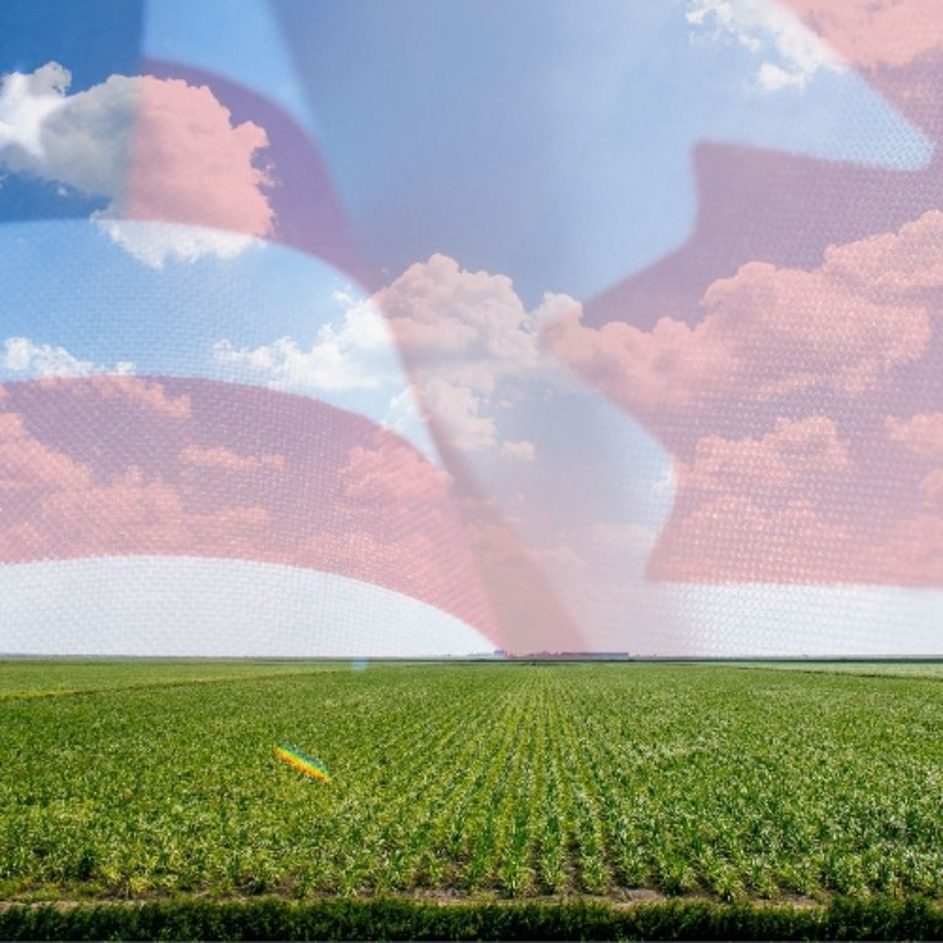 Canada’s Agri-Food Sector Eyes New Markets Amid Uncertainty with U.S. episode artwork