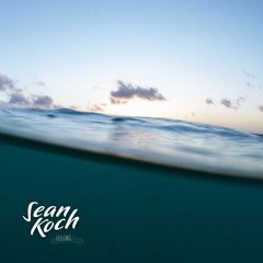 Stream Welcome to the Light by Sean Koch | Listen online for free on  SoundCloud