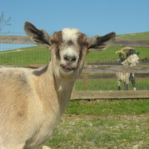 GOAT prod. Charlie