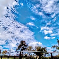 🇵🇫Angelo - Ana Toku Kaiga 🇵🇫 Tahiti song 🇵🇫