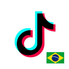 Hits Tiktok Brasil e Reels   Faz o Vuk Vuk | Toca o Trompete | Love Love | A Novinha Senta Pampa