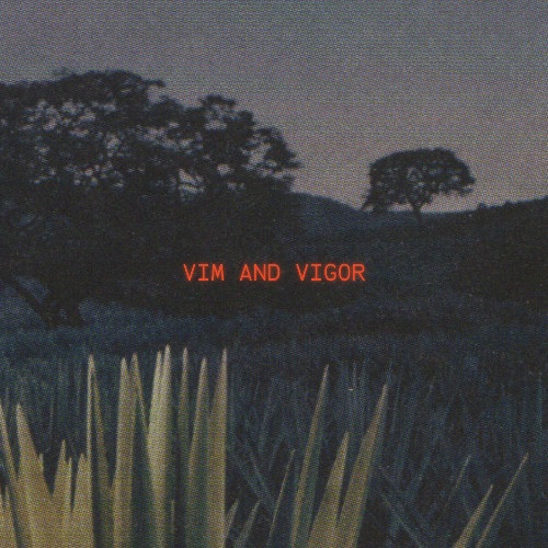 vim and vigor