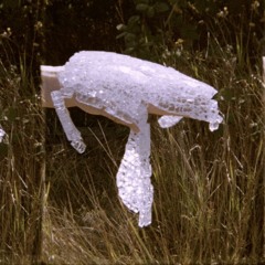 Reality looks back by Anne Jeppesen (YASS! 2024)