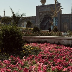 ❤️‍🩹 موسيقى سُلْطانَ القُلُوب