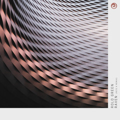Raven (Pete K Extended Remix)