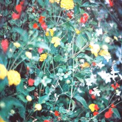 Quantic: Live from Paris - 20 November 2025