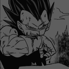 Vegeta x Beztebya
