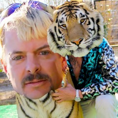 Instant Feel Good Tiger - mini mashup :o)