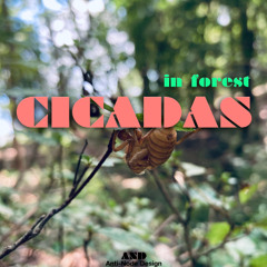 AMB012 CICADAS mini preview