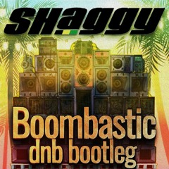shaggy #boombastic