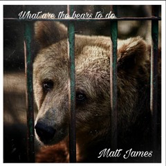 Matt James - What Are The Bears To Do (Anam Hermit - Cosa Tocca Fare Agli Orsi Cover)