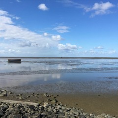 North Sea dawn chorus – Juist, Hammersee