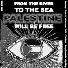 PALESTINE WILL BE FREE / DRUM AND BASS DUB