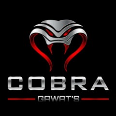 SEANDAINYA AKU PUNYA SAYAP 2021 [ MR. A X Mr.cobra 01 ] Req MHMMD IMRAN