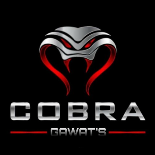 SEANDAINYA AKU PUNYA SAYAP 2021 [ MR. A X Mr.cobra 01 ] Req MHMMD IMRAN