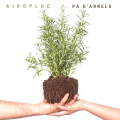 Andròspora (andro)