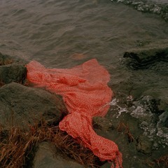 Sarianna Cortes, 'Andas Ut'