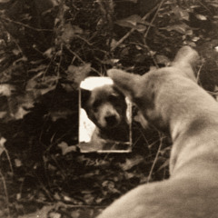 Trying (feat. Yurii Nezhyvyi)