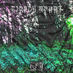 RIPPED APART (Prod. donnyladon)