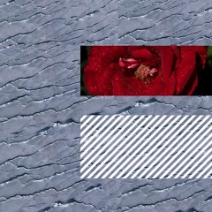 Brave Traveler (2013)